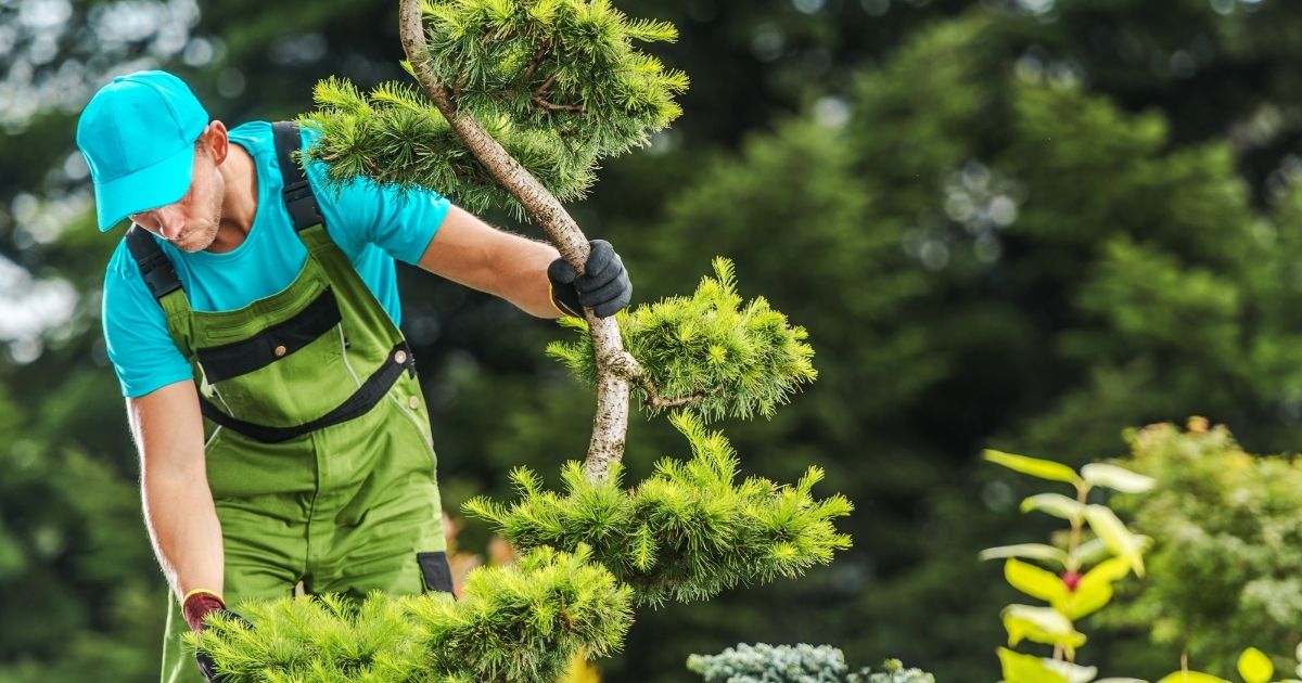 Extra handen gezocht voor groot en klein tuinonderhoud