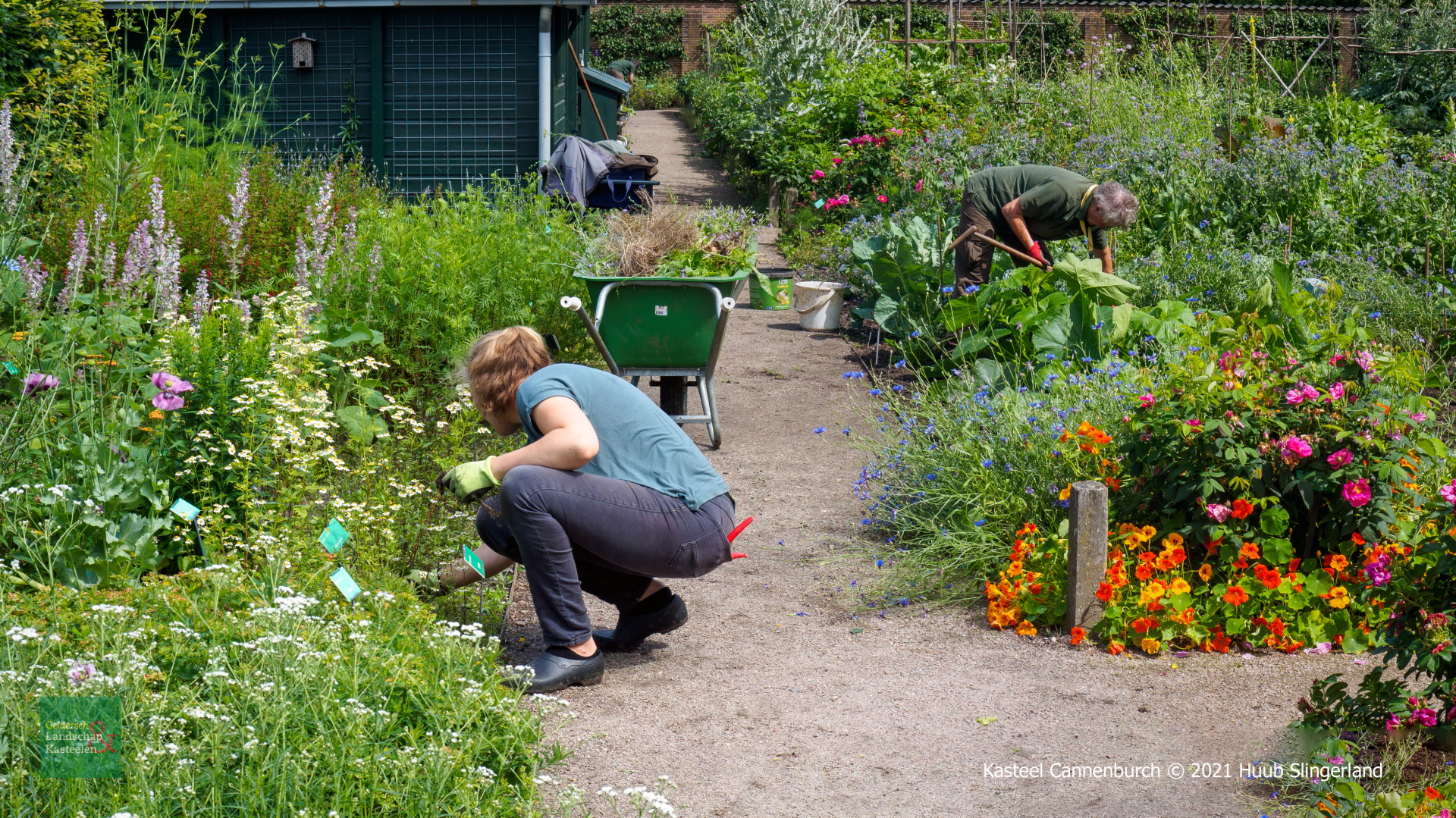 Moestuin-vrijwilliger kasteel Cannenburch