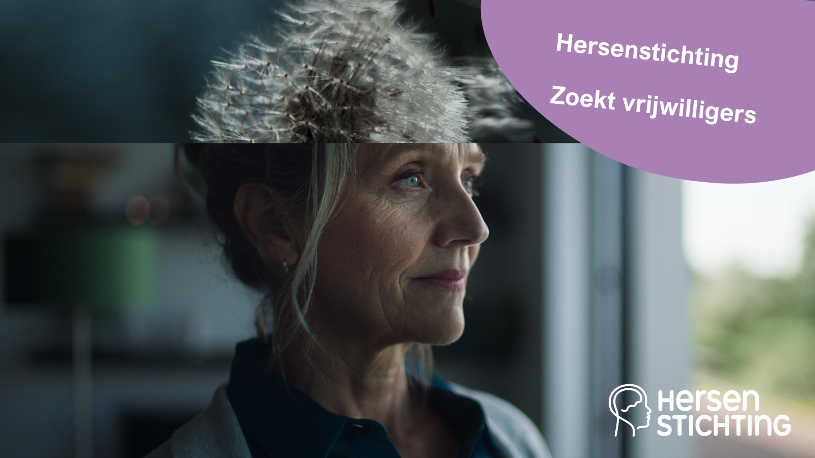 Gezocht: Spin in het web voor de jaarlijkse Hersenstichting-collecte in Vaassen
